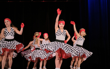 24. Wodzisławska Gala Taneczna MIX 17