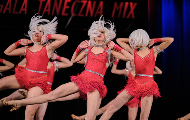 24. Wodzisławska Gala Taneczna MIX 23