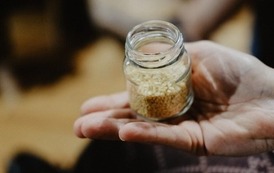 &bdquo;Oczyszczanie z&nbsp;ajurwedą&rdquo; 6