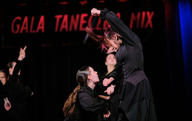 24. Wodzisławska Gala Taneczna MIX 29